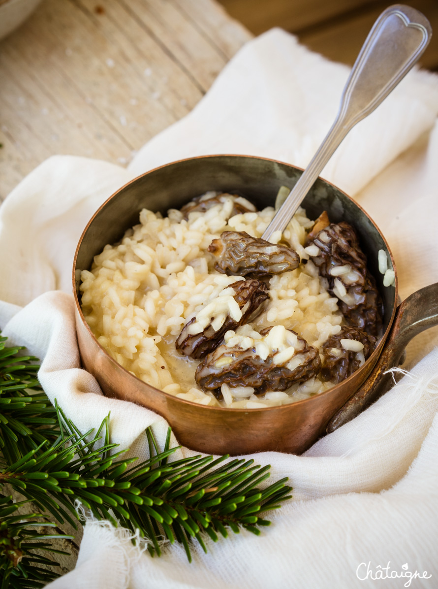 Risotto aux morilles