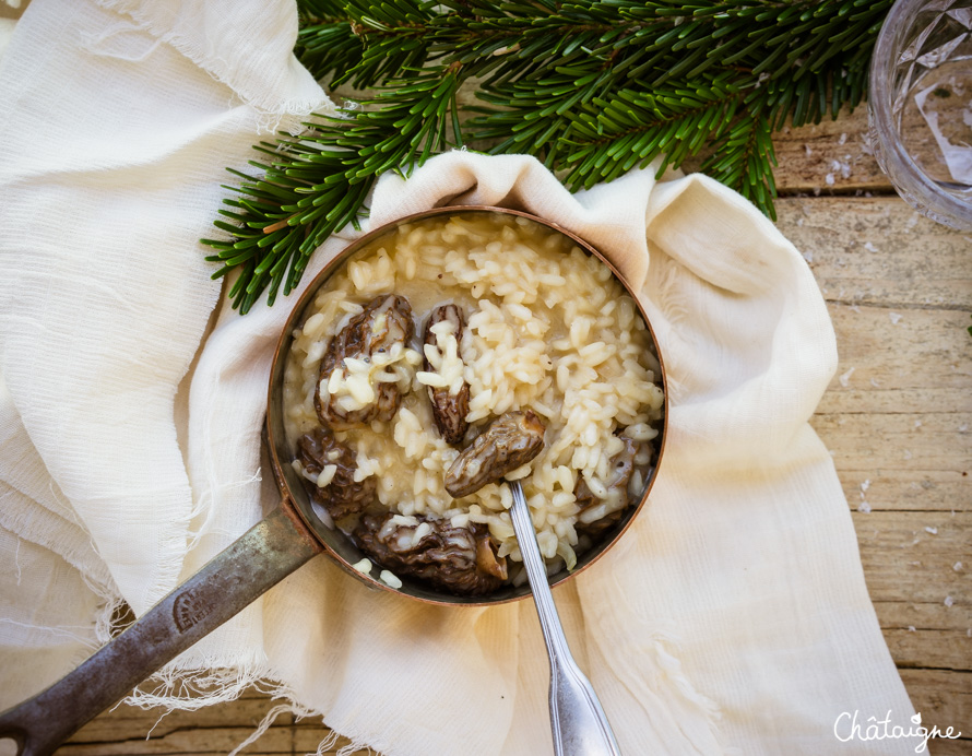 Risotto aux morilles