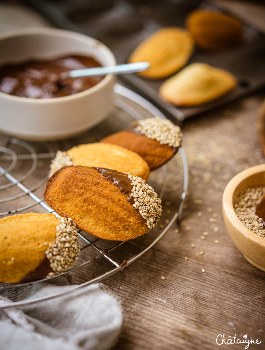 Madeleines au chocolat