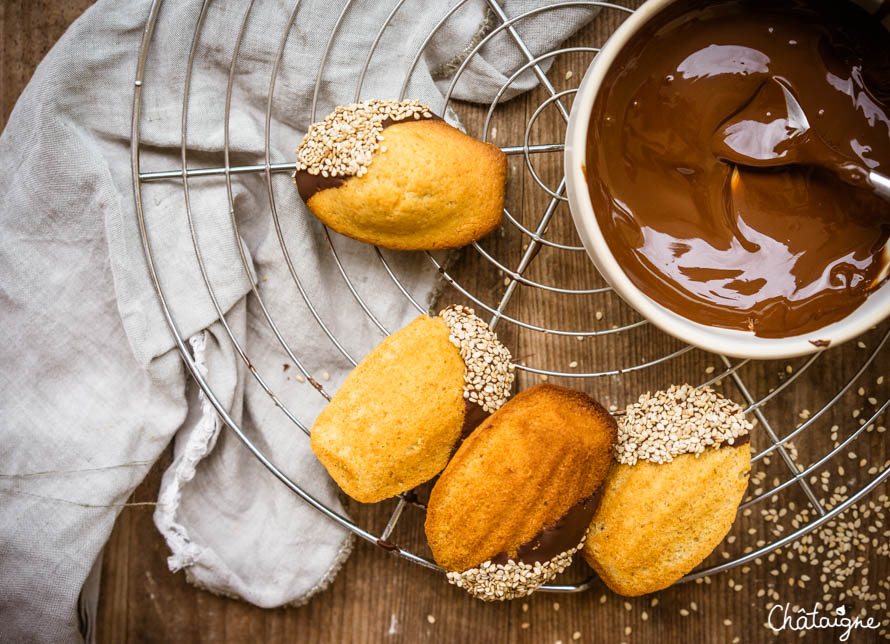 Madeleines au chocolat