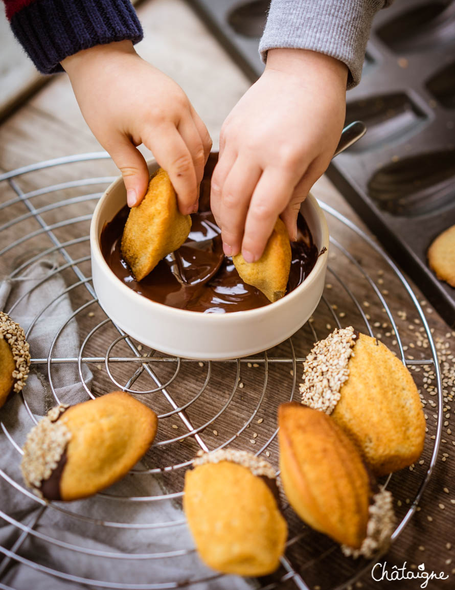 Madeleines au chocolat