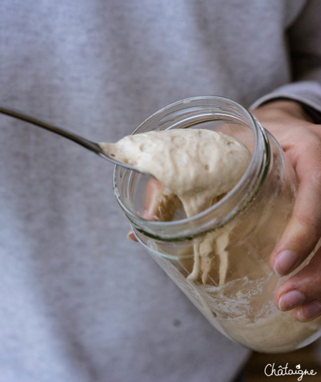 Le levain maison [Comment démarrer son levain]