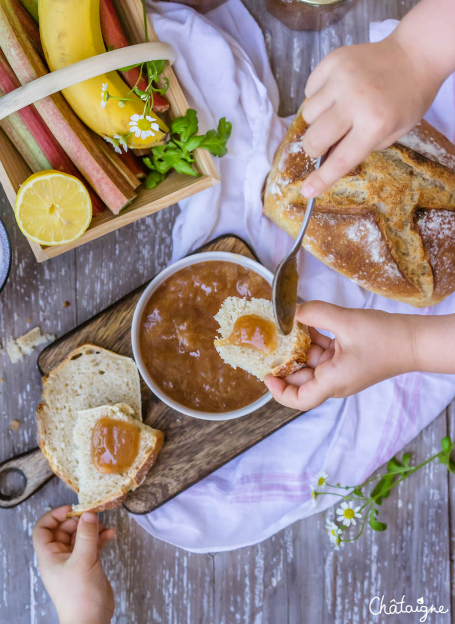 confiture banane-rhubarbe