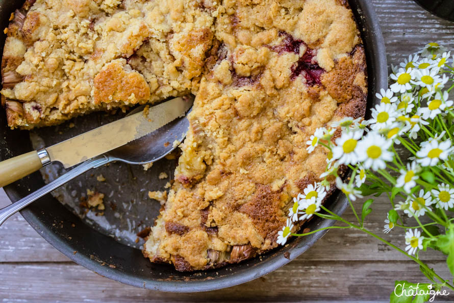 Gâteau fraises-rhubarbe