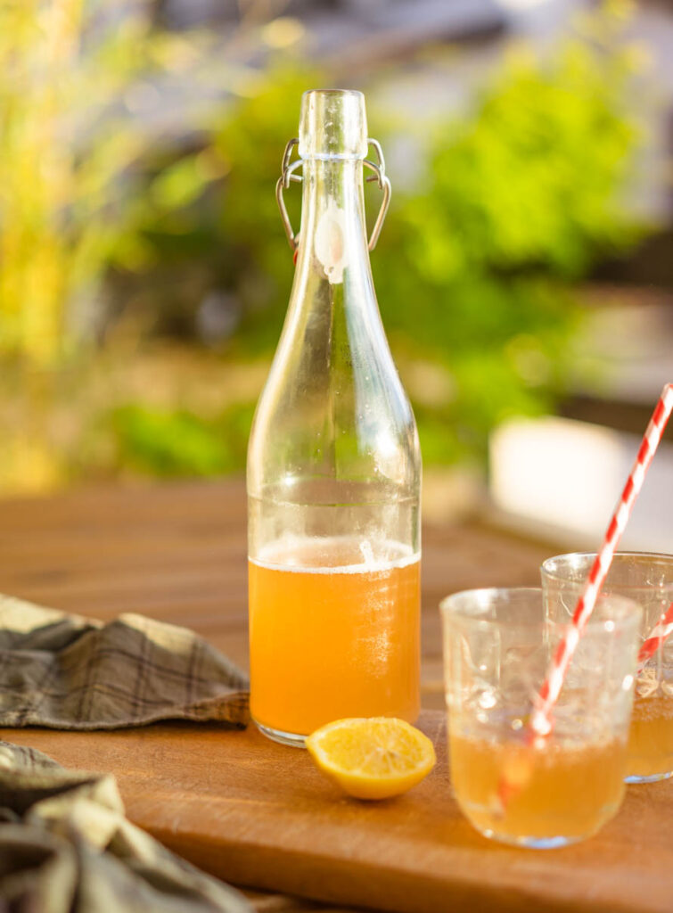 Plus de 50 Recettes pour l'été