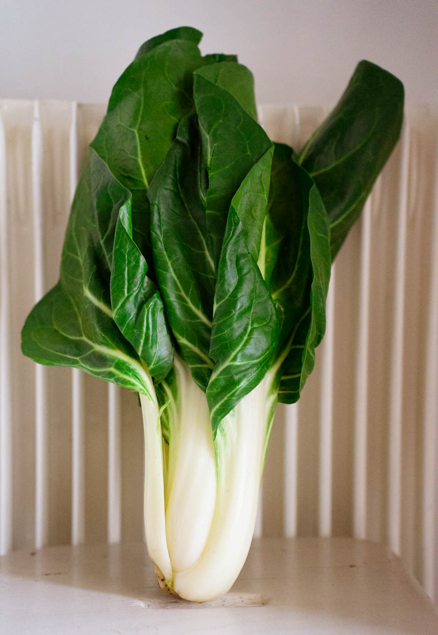 Lasagnes aux blettes Lasagnes aux blettes